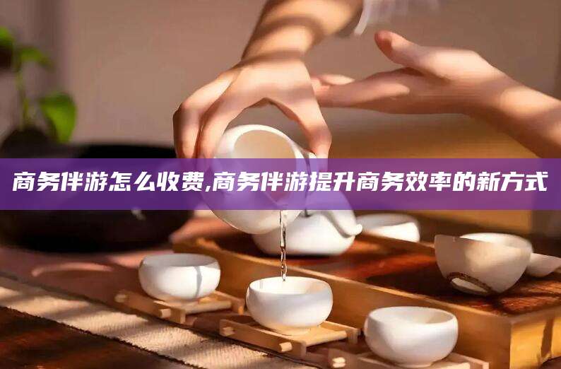 阿勒泰商务伴游怎么收费,商务伴游提升商务效率的新方式